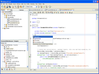 NetBeans IDE NetBeans IDE