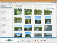 Picasa Picasa