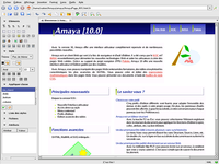 Amaya Amaya