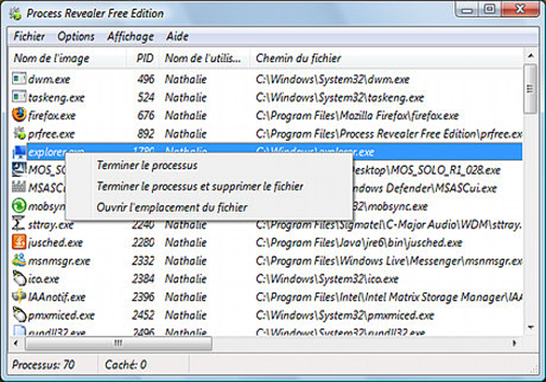 Télécharger Process Revealer Free Edition Télécharger Process Revealer Free Edition