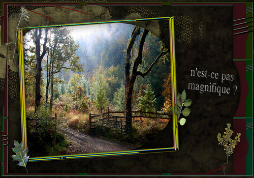 Télécharger PhotosArtist-Vertige Télécharger PhotosArtist-Vertige
