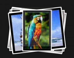 fotosketcher <a style="padding: 2px 5px 2px 5px; color: #fff; background-color: #7FAF01;" href="http://www.lelogicielgratuit.com/download/peinture/">peinture</a> <a style="padding: 2px 5px 2px 5px; color: #fff; background-color: #7FAF01;" href="http://www.lelogicielgratuit.com/download/photo/">photo</a> <a style="padding: 2px 5px 2px 5px; color: #fff; background-color: #7FAF01;" href="http://www.lelogicielgratuit.com/download/photos/">photos</a>