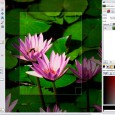 GIMP (GNU Image Manipulation Program) est un excellent logiciel de...