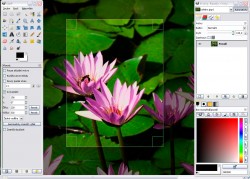 Gimp <a style="padding: 2px 5px 2px 5px; color: #fff; background-color: #7FAF01;" href="http://www.lelogicielgratuit.com/download/creation-graphique/">creation graphique</a> <a style="padding: 2px 5px 2px 5px; color: #fff; background-color: #7FAF01;" href="http://www.lelogicielgratuit.com/download/graphisme/">graphisme</a> <a style="padding: 2px 5px 2px 5px; color: #fff; background-color: #7FAF01;" href="http://www.lelogicielgratuit.com/download/retouche-dimage/">retouche d'image</a> <a style="padding: 2px 5px 2px 5px; color: #fff; background-color: #7FAF01;" href="http://www.lelogicielgratuit.com/download/retouche-photos/">retouche photos</a>