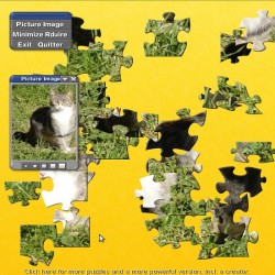 chattigreherbe <a style="padding: 2px 5px 2px 5px; color: #fff; background-color: #7FAF01;" href="http://www.lelogicielgratuit.com/download/chat/">chat</a> <a style="padding: 2px 5px 2px 5px; color: #fff; background-color: #7FAF01;" href="http://www.lelogicielgratuit.com/download/puzzle/">puzzle</a>